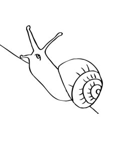 Snail coloring page - picture 46