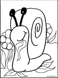 Snail coloring page - picture 54