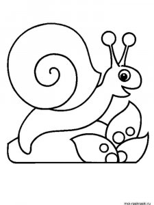 Snail coloring page - picture 57