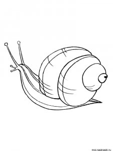 Snail coloring page - picture 58