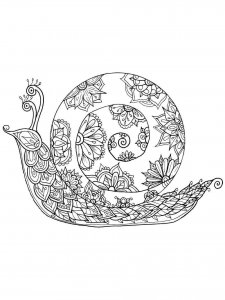 Snail coloring page - picture 8
