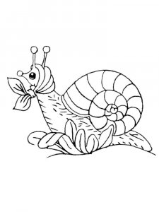 Snail coloring page - picture 9