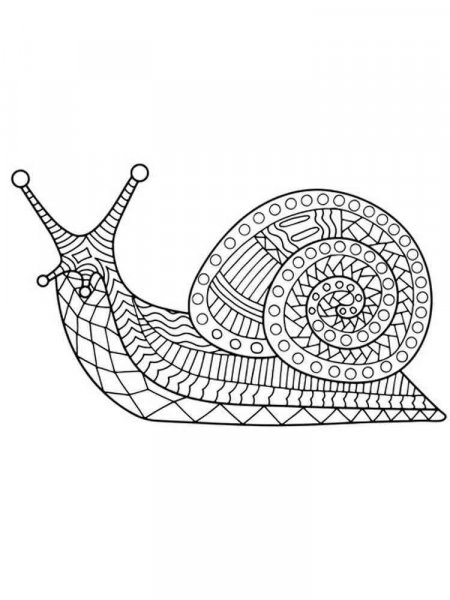 Snail coloring pages