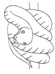 Snake coloring page - picture 1