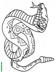 Snake coloring page - picture 11