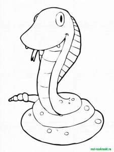 Snake coloring page - picture 13