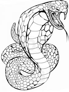 Snake coloring page - picture 17