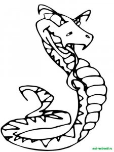 Snake coloring page - picture 18