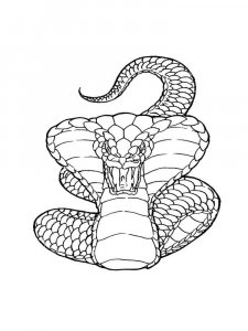 Snake coloring page - picture 24