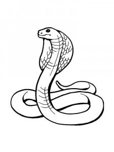 Snake coloring page - picture 27