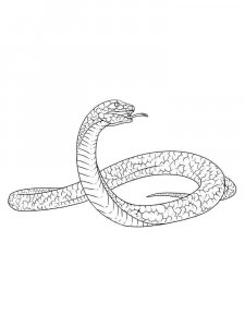Snake coloring page - picture 30
