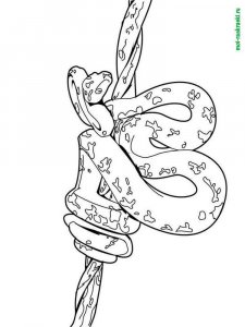 Snake coloring page - picture 5