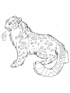 Snow Leopard coloring page - picture 15