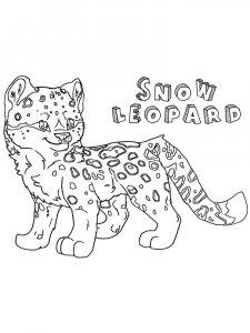 Snow Leopard coloring page - picture 17