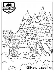 Snow Leopard coloring page - picture 20