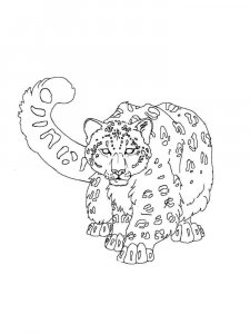 Snow Leopard coloring page - picture 7