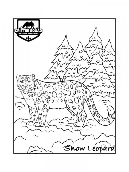 Snow Leopard coloring pages