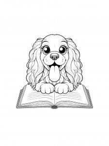 Spaniel Coloring Pages 24