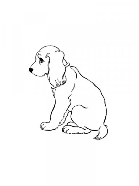 Spaniel coloring pages