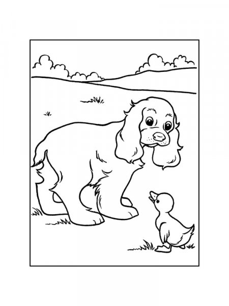 Spaniel coloring pages