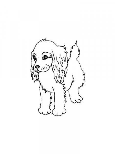 Spaniel Coloring Pages