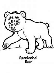 Spectacled Bear coloring page - picture 4