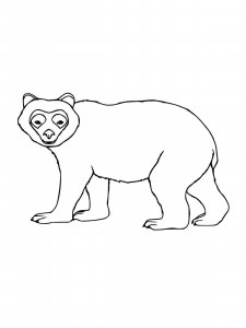 Spectacled Bear coloring page - picture 6