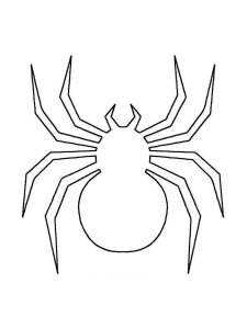 Spider coloring page - picture 15