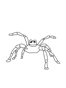 Spider coloring page - picture 17