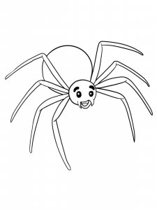 Spider coloring page - picture 2