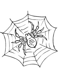 Spider coloring page - picture 20