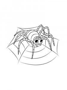 Spider coloring page - picture 23