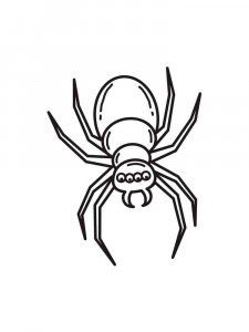 Spider coloring page - picture 24