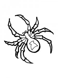 Spider coloring page - picture 25