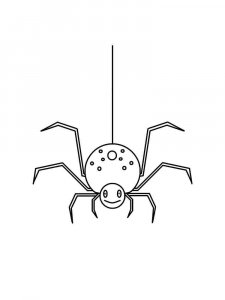 Spider coloring page - picture 26