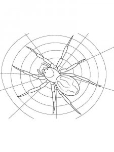 Spider coloring page - picture 27