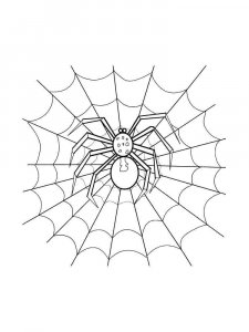 Spider coloring page - picture 33
