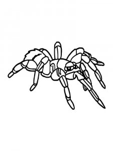 Spider coloring page - picture 36