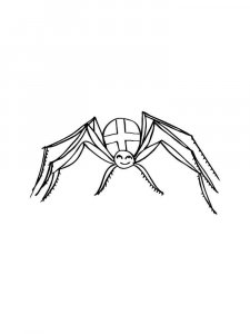 Spider coloring page - picture 37