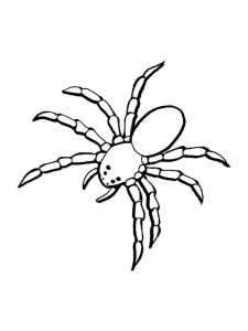 Spider coloring page - picture 46