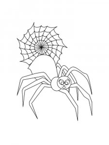 Spider coloring page - picture 49
