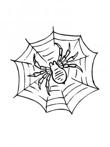 Spider Coloring Pages 51