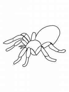Spider coloring page - picture 6