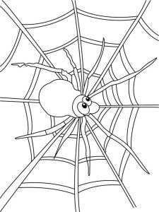 Spider coloring page - picture 7