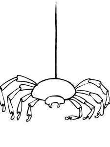 Spider coloring page - picture 9