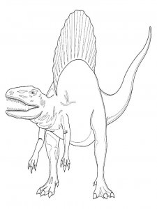 Spinosaurus coloring page - picture 13