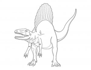 Spinosaurus coloring page - picture 14