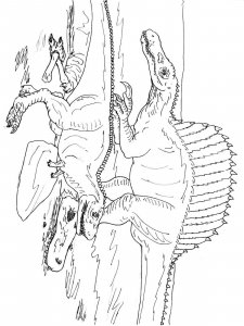 Spinosaurus coloring page - picture 18