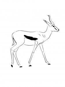 Springbok Coloring Pages 6