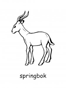 Springbok Coloring Pages 7
